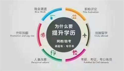 报名专升本